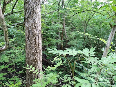 Newberry Wildlife Sanctuary