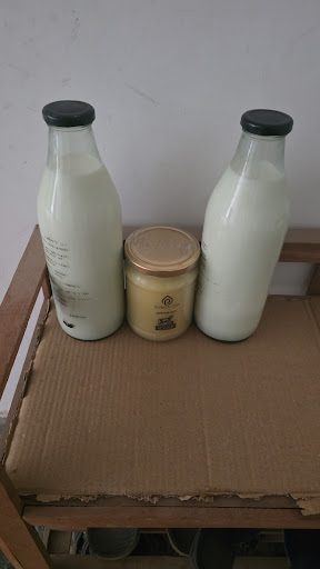 Gallery image 10