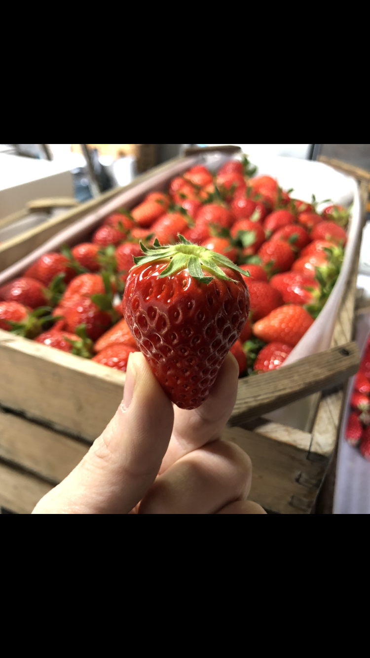 CHU CHU CHURROS CAFE 徳島駅前店