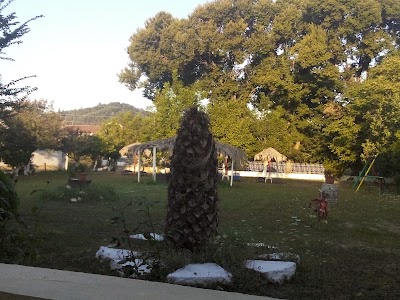Photos of Fridas Garden