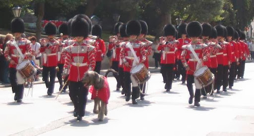 Windsor Tours - Visual