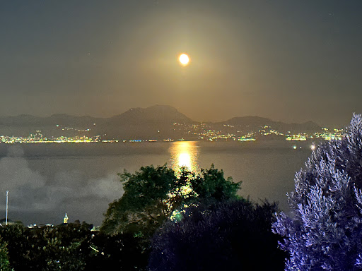 Lucrezio Cafè - Visual