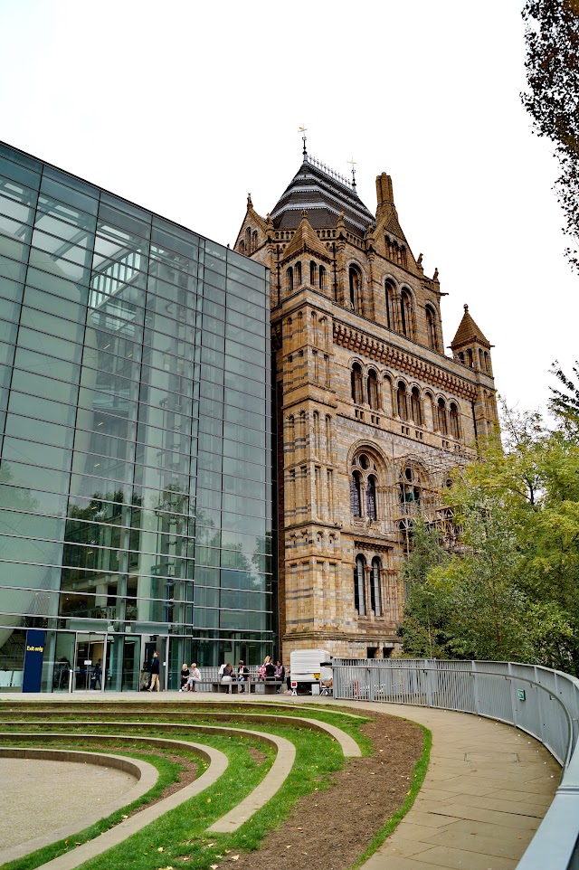 Natural History Museum Cromwell Road (Stop H)