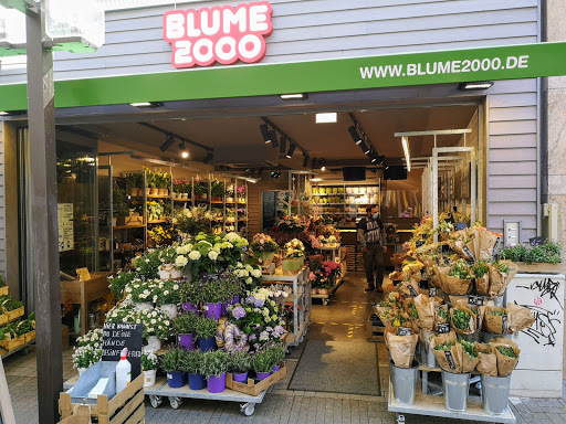 BLUME2000 Bad Kreuznach - Thumbnail