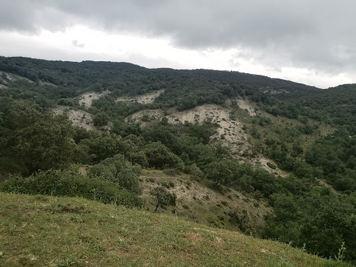 Sendas Iturgoi - Visual