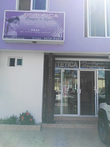ESTETICA Prestigio & Elegancia Gallery - Mexico