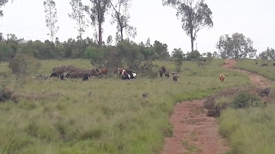 Photos of Bururi Forest Nature Reserve