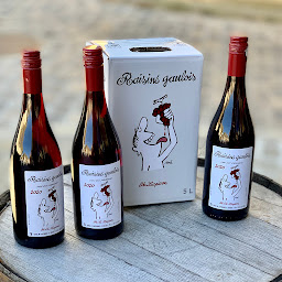 Photo n°48 de Les Coqs du Vin - Cave de Montfort l'Amaury à Montfort-l'Amaury (Caviste)