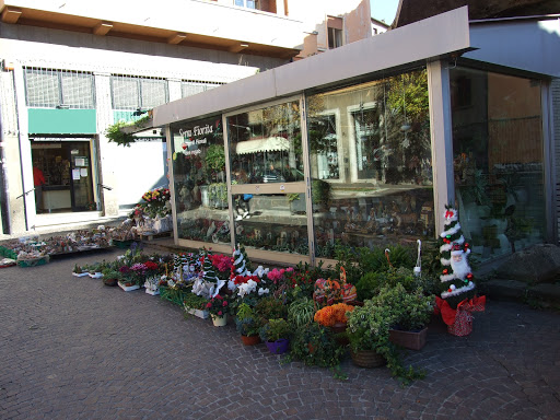 Serra Fiorita - Fiori, Bomboniere e Articoli da Regalo