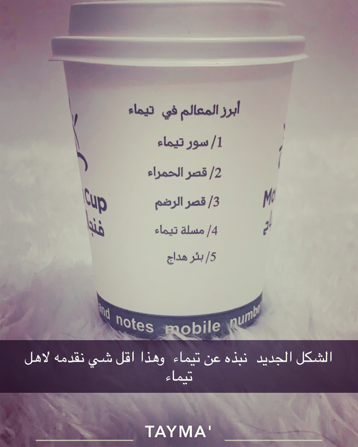 كوفي فنجال الصباح لتقديم المشروبات - صورة 2