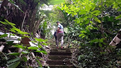 Photos of Tolima University