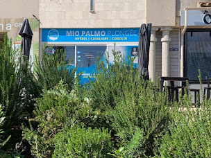 Photo n°17 de Mio Palmo Plongée - Cavalaire à Cavalaire-sur-Mer (Centre de formation)