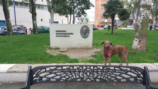 Plaza Doctor Severo Ochoa - Thumbnail
