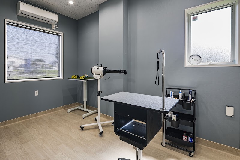 いちょう通り動物病院