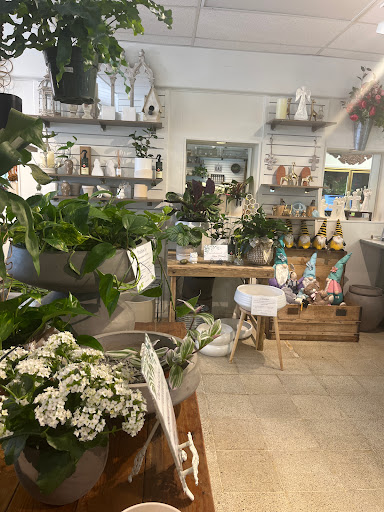 Comal Flower Shop on The Plaza - Thumbnail
