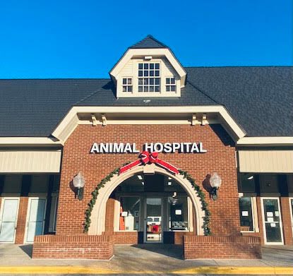 Veterinary Outpatient Surgical Center - Thumbnail