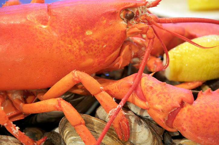 Lenny's Indian Head Inn by null