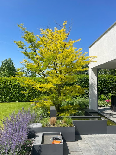 Brosterhaus GmbH - Thumbnail