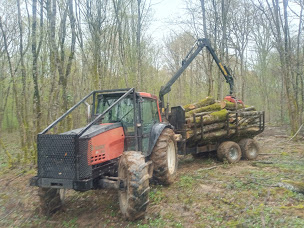 Photo n°5 de Quemy Mathieu à Vézelay (Exploitation forestière)
