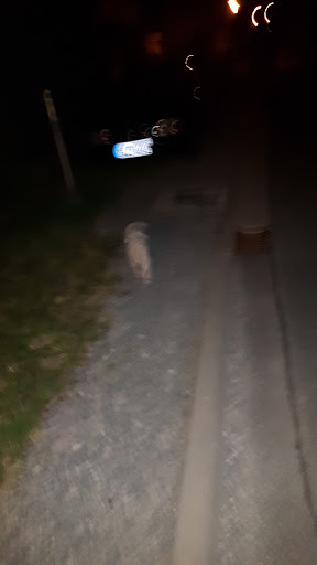 Zotzenbach - Visual