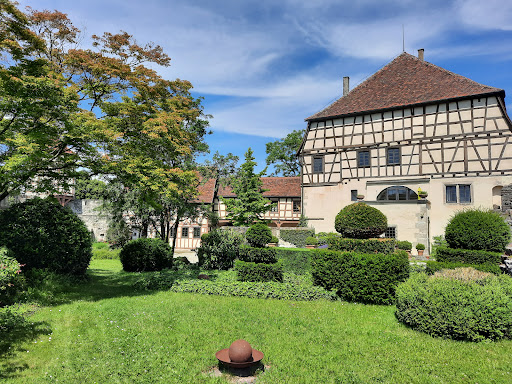 Maienfels Castle - Thumbnail