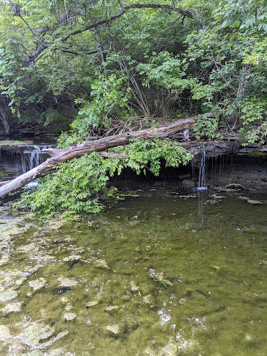 Dry creek 2nd falls - Thumbnail