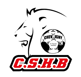 Photo n°2 de Chevigny Saint Sauveur Handball à Chevigny-Saint-Sauveur (Club de handball)