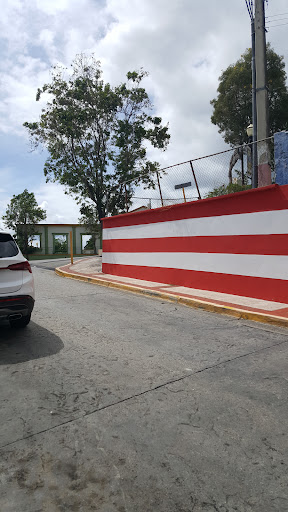 Bandera de Héctor PR Hormigueros