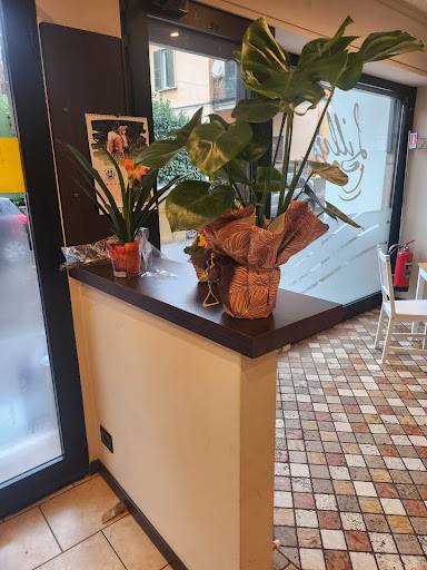 Lillycafè - Visual