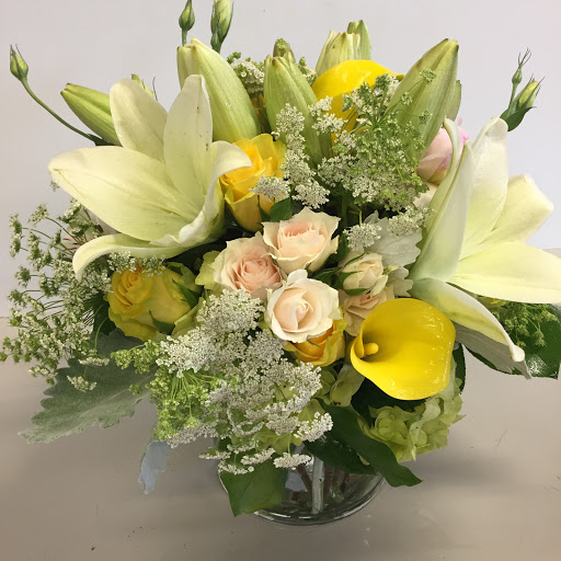 Full Bloom - Thumbnail