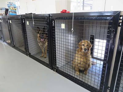 Photos of Hill Top Kennels
