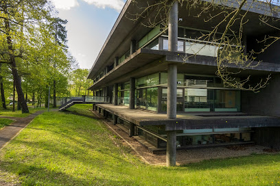 Imagerie et Cerveau, UMR Inserm - Université de Tours