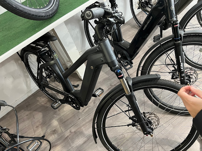 Cycloplanet - vélos reconditionnés - Magasin de vélos