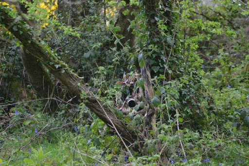 FRV Airsoft - Thumbnail