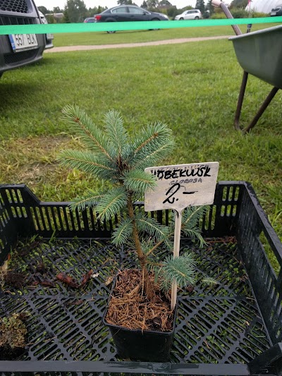 Photos of Nurga Nursery