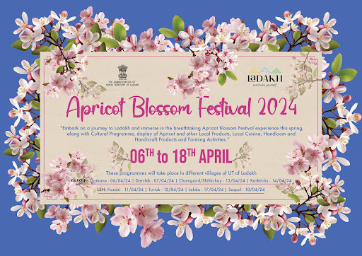 Apricot Blossom Festival kargil Ladakh 2024 post image