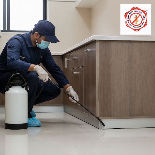 Tired of pest control that leaves your home smelling bad and looking worse? At Pilot Pest Control… post image