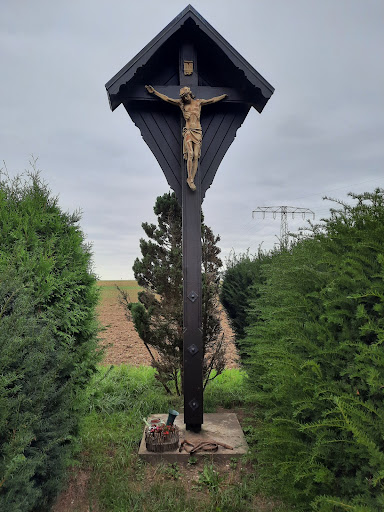 INRI - Visual