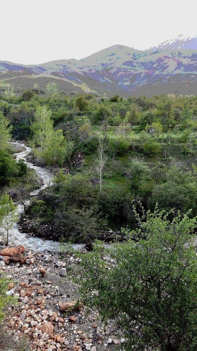 Mağaçur Yayla