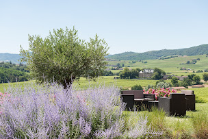 Photo n°5 de Maison GOGUET à Charentay (Établissement vinicole)