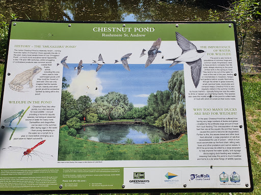 Chestnut Pond - Thumbnail