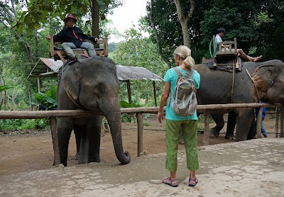 Photos of Elephant Sanctuary (Tad Sae)