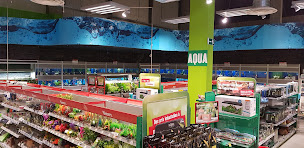 Photo n°46 de Maxi Zoo Beaucouzé à Beaucouzé (Animalerie)