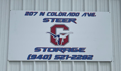 Steer Storage - Visual