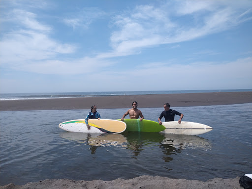 Zona Surf - Visual