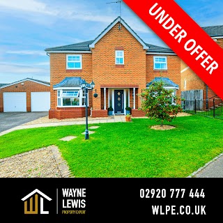 Wayne Lewis - Property Expert