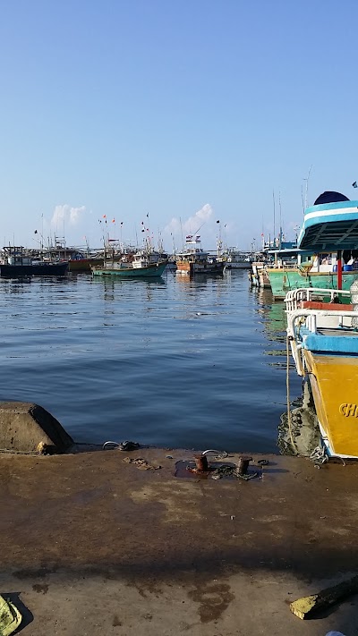 Photos of Kudawella Fish Market