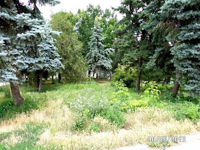 Photos of Havuzul Orasenesc