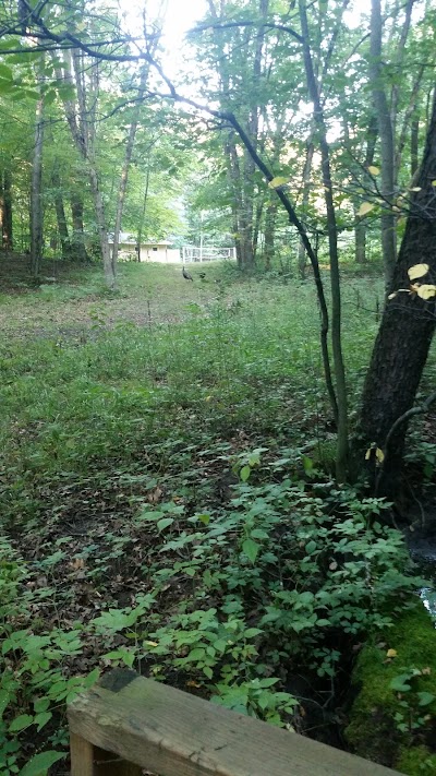 Photos of Camp Waltman Lake