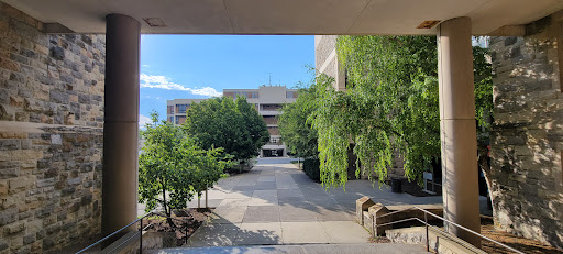 Derring Hall - Visual